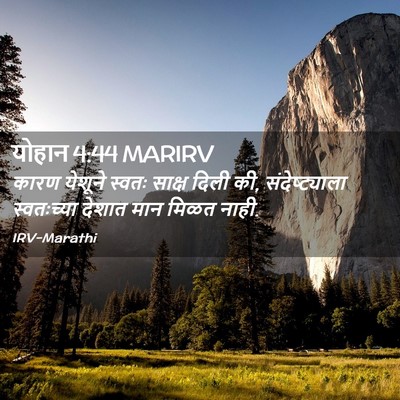 Picture 02 - योहान 4:44 MARIRV - कारण येशूने स्वतः - Bible Verse Picture