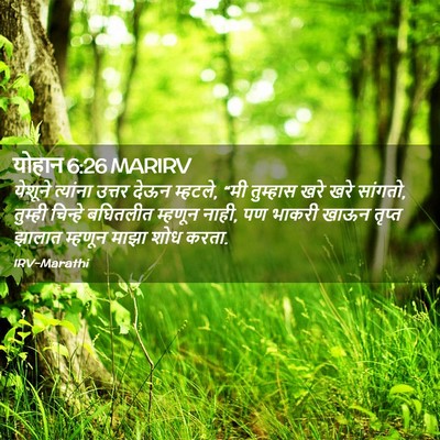 Picture 02 - योहान 6:26 MARIRV - येशूने त्यांना - Bible Verse Picture