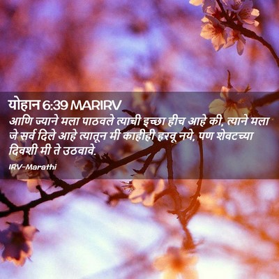 Picture 02 - योहान 6:39 MARIRV - आणि ज्याने मला - Bible Verse Picture