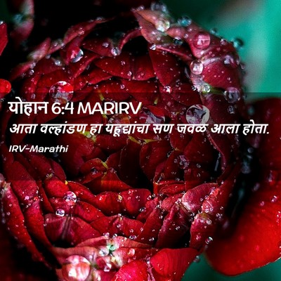 Picture 02 - योहान 6:4 MARIRV - आता वल्हांडण हा - Bible Verse Picture