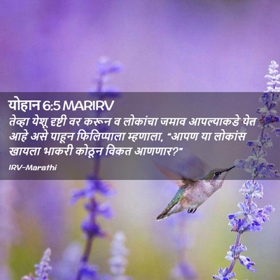 Picture 02 - योहान 6:5 MARIRV - तेव्हा येशू - Bible Verse Picture