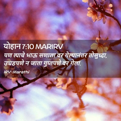 Picture 02 - योहान 7:10 MARIRV - पण त्याचे भाऊ - Bible Verse Picture