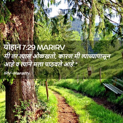 Picture 02 - योहान 7:29 MARIRV - मी तर त्यास ओळखतो, - Bible Verse Picture