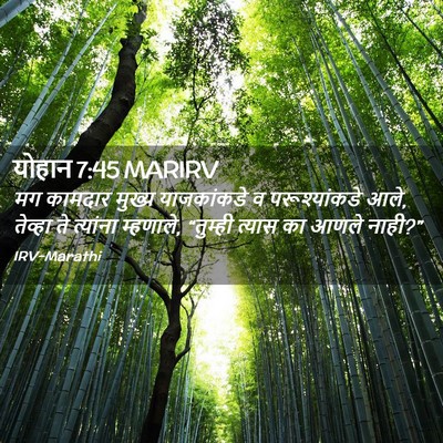 Picture 02 - योहान 7:45 MARIRV - मग कामदार मुख्य - Bible Verse Picture