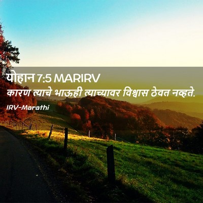 Picture 02 - योहान 7:5 MARIRV - कारण त्याचे भाऊही - Bible Verse Picture
