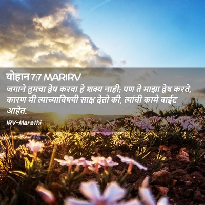 Picture 02 - योहान 7:7 MARIRV - जगाने तुमचा द्वेष - Bible Verse Picture