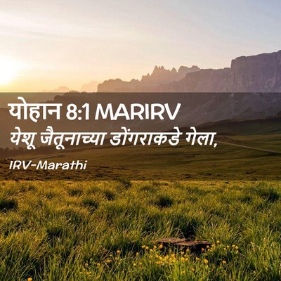 Picture 02 - योहान 8:1 MARIRV - येशू जैतूनाच्या - Bible Verse Picture