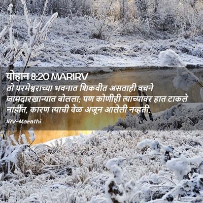 Picture 02 - योहान 8:20 MARIRV - तो परमेश्वराच्या - Bible Verse Picture