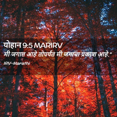 Picture 02 - योहान 9:5 MARIRV - मी जगात आहे - Bible Verse Picture
