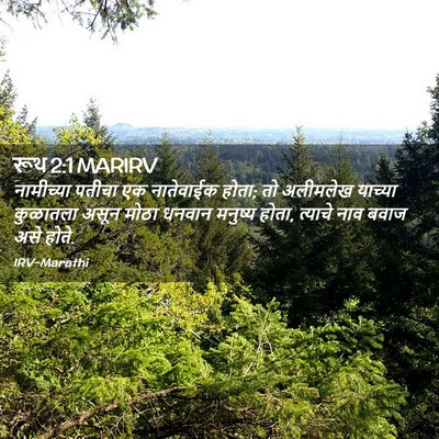 Picture 02 - रूथ 2:1 MARIRV - नामीच्या पतीचा एक - Bible Verse Picture