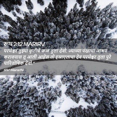 Picture 02 - रूथ 2:12 MARIRV - परमेश्वर तुझ्या - Bible Verse Picture
