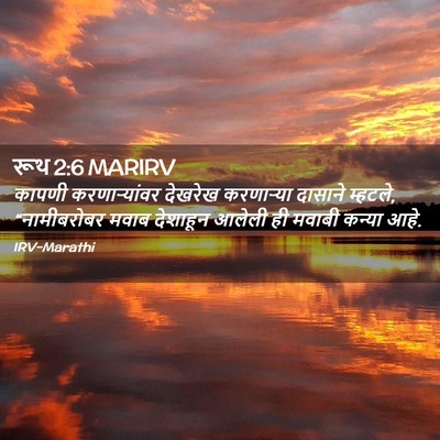 Picture 02 - रूथ 2:6 MARIRV - कापणी करणाऱ्यांवर - Bible Verse Picture