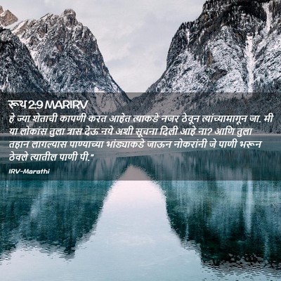 Picture 02 - रूथ 2:9 MARIRV - हे ज्या शेताची - Bible Verse Picture
