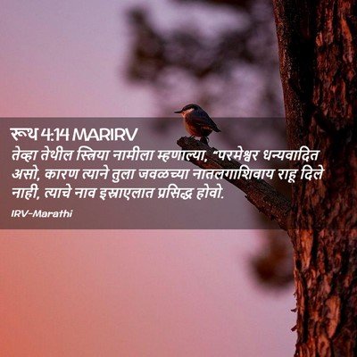 Picture 02 - रूथ 4:14 MARIRV - तेव्हा तेथील - Bible Verse Picture