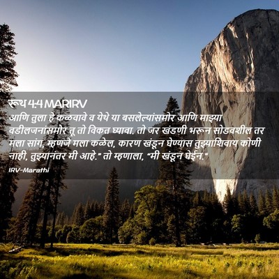 Picture 02 - रूथ 4:4 MARIRV - आणि तुला हे कळवावे - Bible Verse Picture