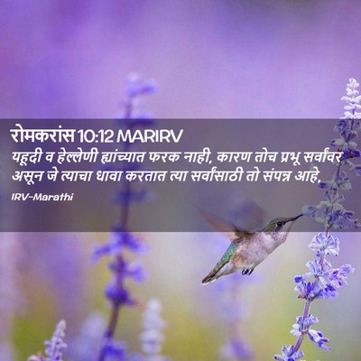 Picture 02 - रोमकरांस 10:12 MARIRV - यहूदी व हेल्लेणी - Bible Verse Picture
