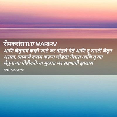 Picture 02 - रोमकरांस 11:17 MARIRV - आणि जैतुनाचे काही - Bible Verse Picture