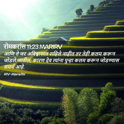 Picture 02 - रोमकरांस 11:23 MARIRV - आणि ते जर - Bible Verse Picture
