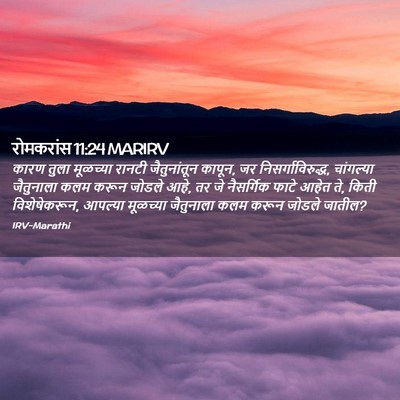 Picture 02 - रोमकरांस 11:24 MARIRV - कारण तुला मूळच्या - Bible Verse Picture