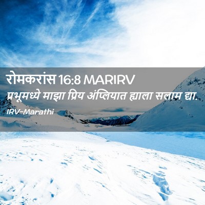 Picture 02 - रोमकरांस 16:8 MARIRV - प्रभूमध्ये माझा - Bible Verse Picture
