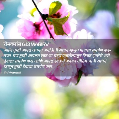 Picture 02 - रोमकरांस 6:13 MARIRV - आणि तुम्ही आपले - Bible Verse Picture