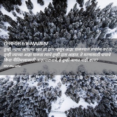 Picture 02 - रोमकरांस 6:16 MARIRV - तुम्ही ज्याला - Bible Verse Picture