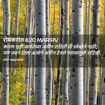 Picture 02 - रोमकरांस 8:20 MARIRV - कारण सृष्टी - Bible Verse Picture