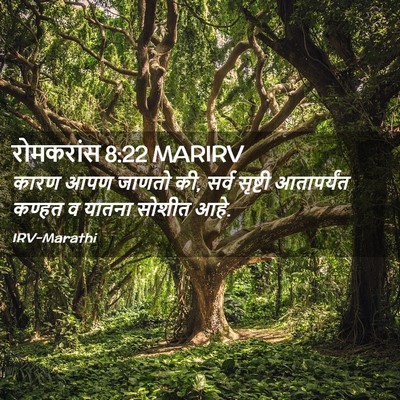 Picture 02 - रोमकरांस 8:22 MARIRV - कारण आपण जाणतो की, - Bible Verse Picture