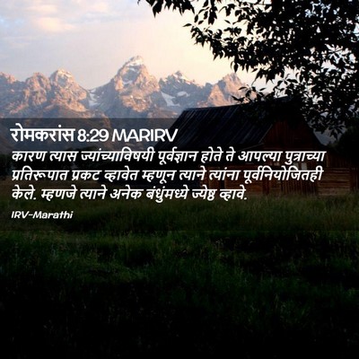 Picture 02 - रोमकरांस 8:29 MARIRV - कारण त्यास - Bible Verse Picture