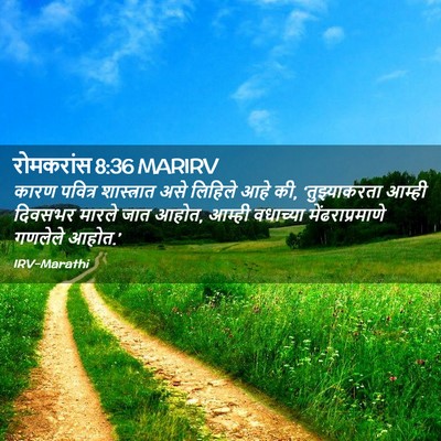 Picture 02 - रोमकरांस 8:36 MARIRV - कारण पवित्र - Bible Verse Picture