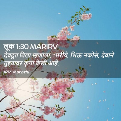 Picture 02 - लूक 1:30 MARIRV - देवदूत तिला - Bible Verse Picture