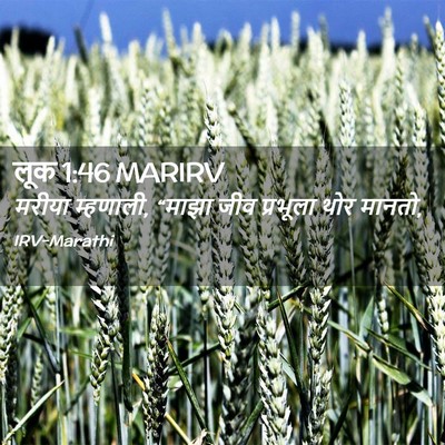 Picture 02 - लूक 1:46 MARIRV - मरीया म्हणाली, - Bible Verse Picture