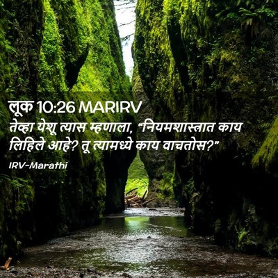 Picture 02 - लूक 10:26 MARIRV - तेव्हा येशू त्यास - Bible Verse Picture