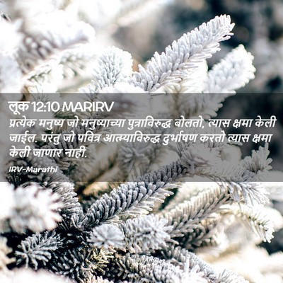 Picture 02 - लूक 12:10 MARIRV - प्रत्येक मनुष्य - Bible Verse Picture