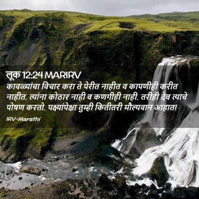Picture 02 - लूक 12:24 MARIRV - कावळ्यांचा विचार - Bible Verse Picture