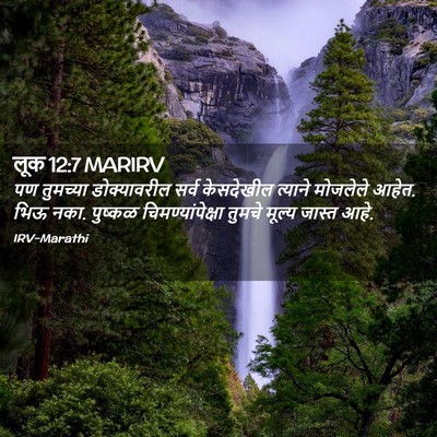 Picture 02 - लूक 12:7 MARIRV - पण तुमच्या - Bible Verse Picture