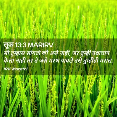 Picture 02 - लूक 13:3 MARIRV - मी तुम्हास सांगतो - Bible Verse Picture