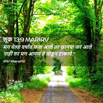 Picture 02 - लूक 13:9 MARIRV - मग येत्या वर्षात - Bible Verse Picture