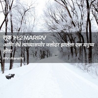 Picture 02 - लूक 14:2 MARIRV - आणि तेथे - Bible Verse Picture