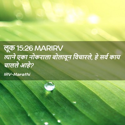 Picture 02 - लूक 15:26 MARIRV - त्याने एका - Bible Verse Picture
