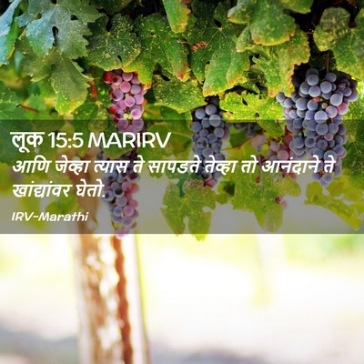 Picture 02 - लूक 15:5 MARIRV - आणि जेव्हा त्यास - Bible Verse Picture