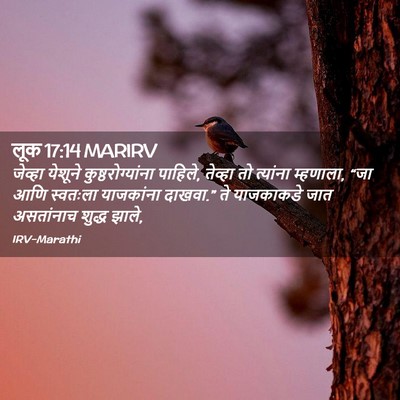 Picture 02 - लूक 17:14 MARIRV - जेव्हा येशूने - Bible Verse Picture