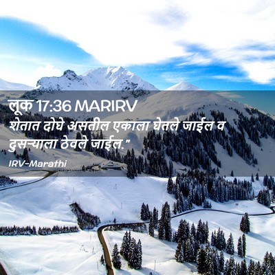 Picture 02 - लूक 17:36 MARIRV - शेतात दोघे असतील - Bible Verse Picture