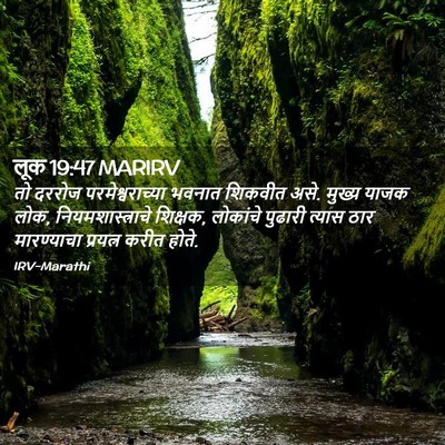 Picture 02 - लूक 19:47 MARIRV - तो दररोज - Bible Verse Picture