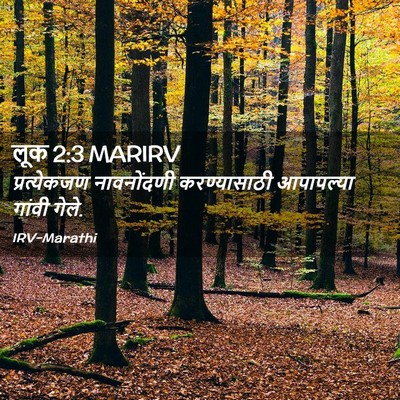 Picture 02 - लूक 2:3 MARIRV - प्रत्येकजण - Bible Verse Picture