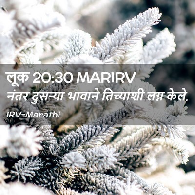 Picture 02 - लूक 20:30 MARIRV - नंतर दुसऱ्या - Bible Verse Picture