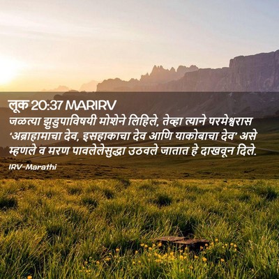 Picture 02 - लूक 20:37 MARIRV - जळत्या - Bible Verse Picture