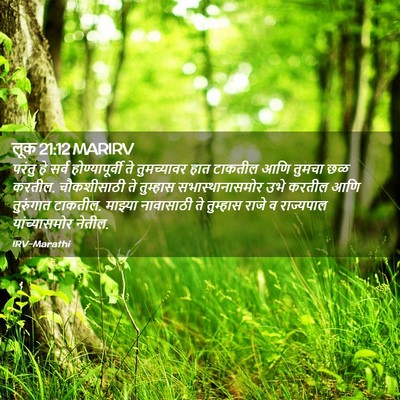 Picture 02 - लूक 21:12 MARIRV - परंतु हे सर्व - Bible Verse Picture