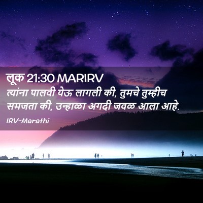 Picture 02 - लूक 21:30 MARIRV - त्यांना पालवी येऊ - Bible Verse Picture