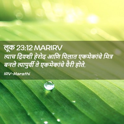 Picture 02 - लूक 23:12 MARIRV - त्याच दिवशी हेरोद - Bible Verse Picture